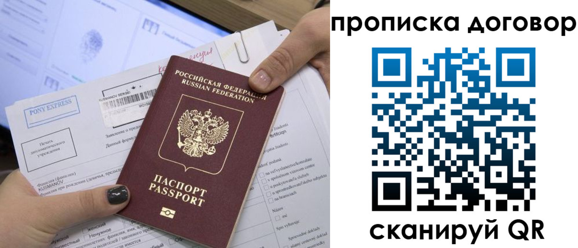 прописка гарантия в Светлогорске