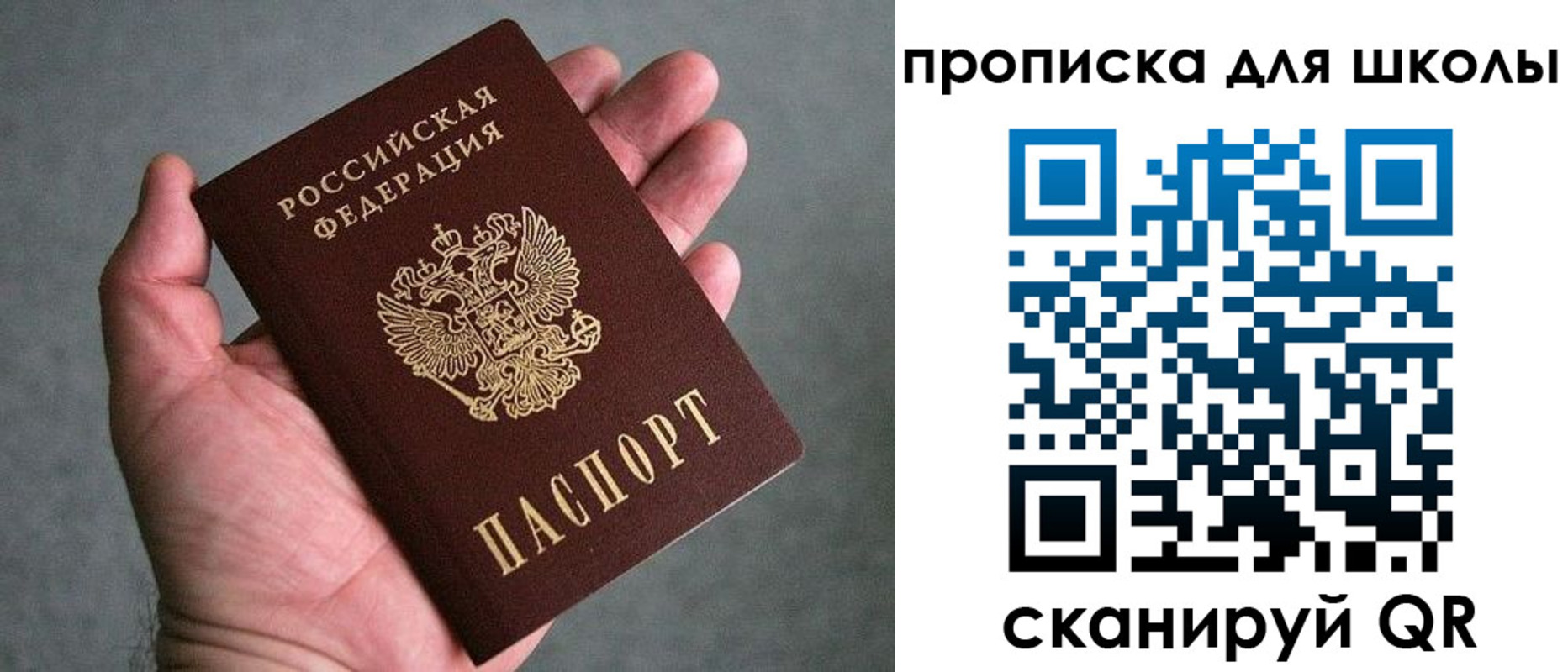 прописка для школы в Светлогорске