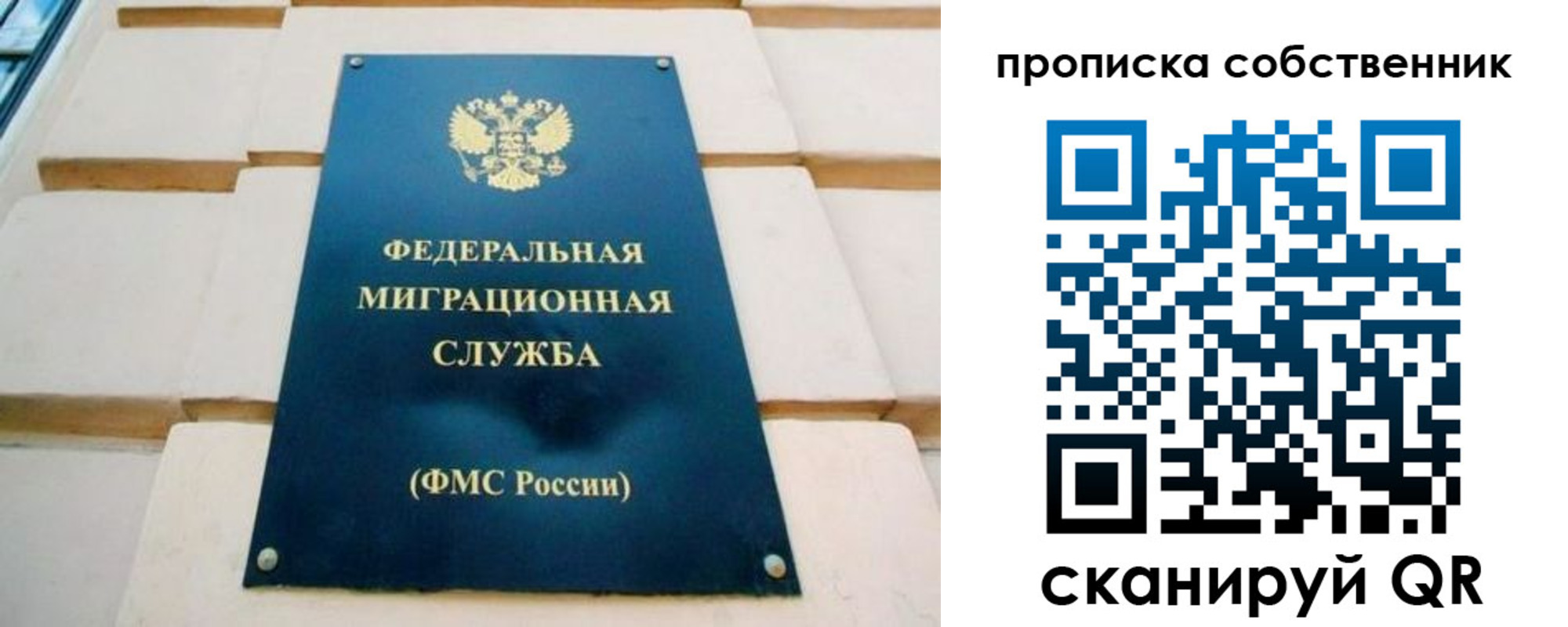 временная регистрация надежно в Светлогорске